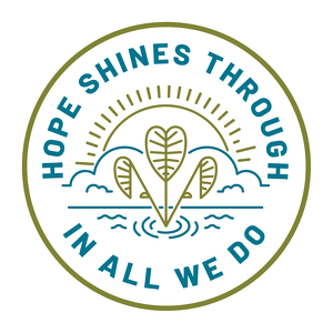 Team Page: CFS Board